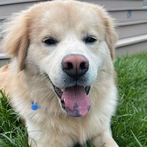 Meet your Posher, Colleen